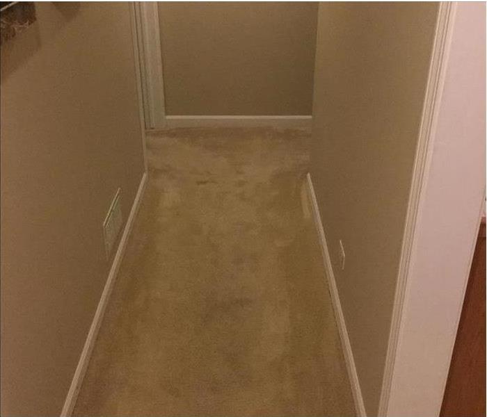 Coral Springs hallway with wet carpet