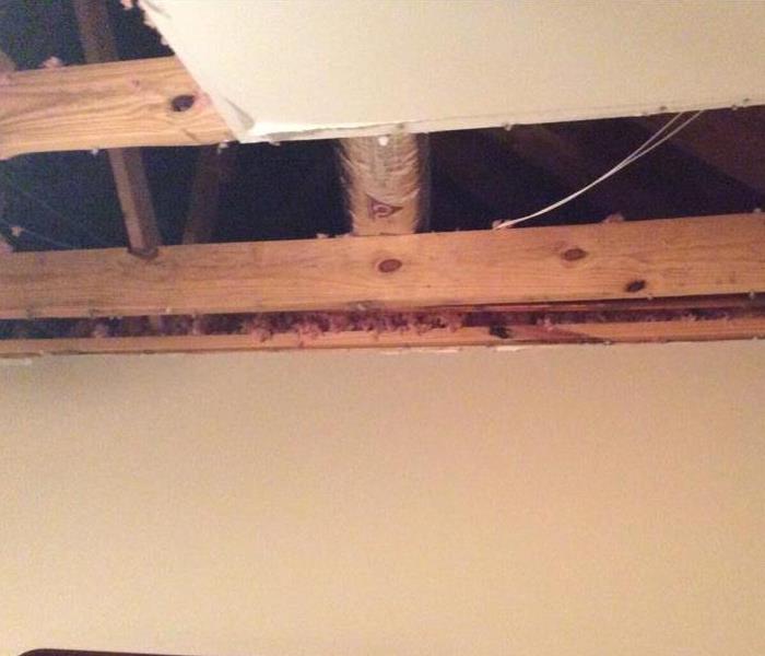 cut-out ceiling sheetrock showing attic trusses, joists and a/c flex line